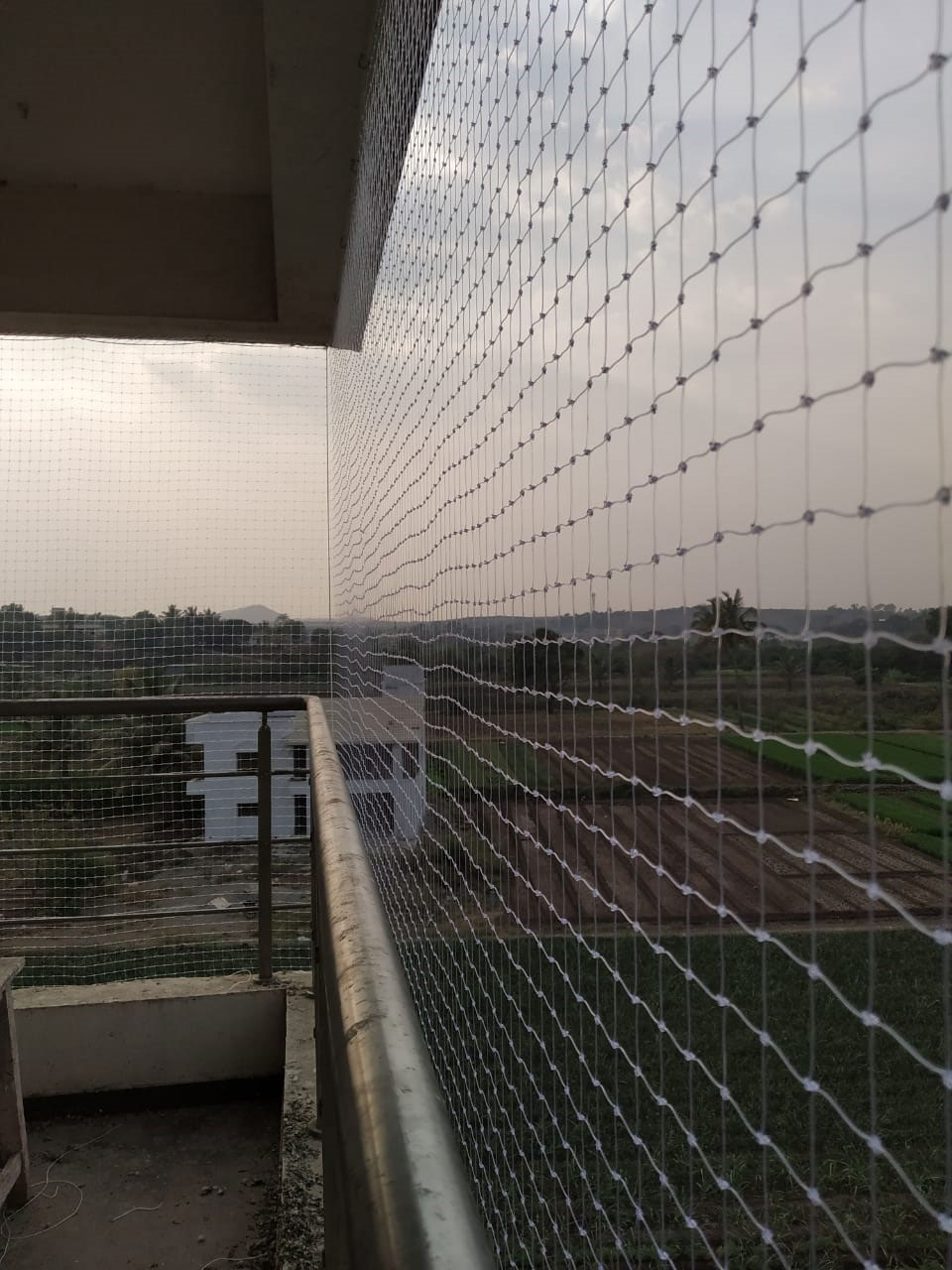 Sparrow Protection Nets in Chennai